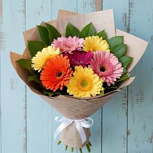 Букет цветов из:  Герберы #REPLACE_PRED# Дубовой Роще